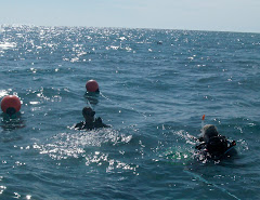 Linda and Patrick prepare to dive into the Atlantic Ocean