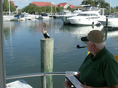 Fred and his buddy enjoying the stern deck and the dock post at high tide.