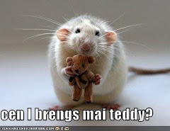 Hilarious Pics of Animals
