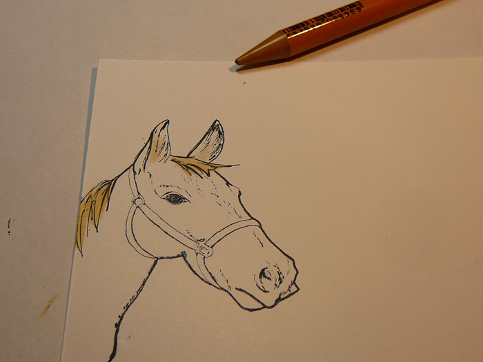 [Horse1.jpg]