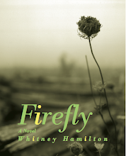 Firefly - a Civil War novel