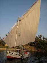 felluca