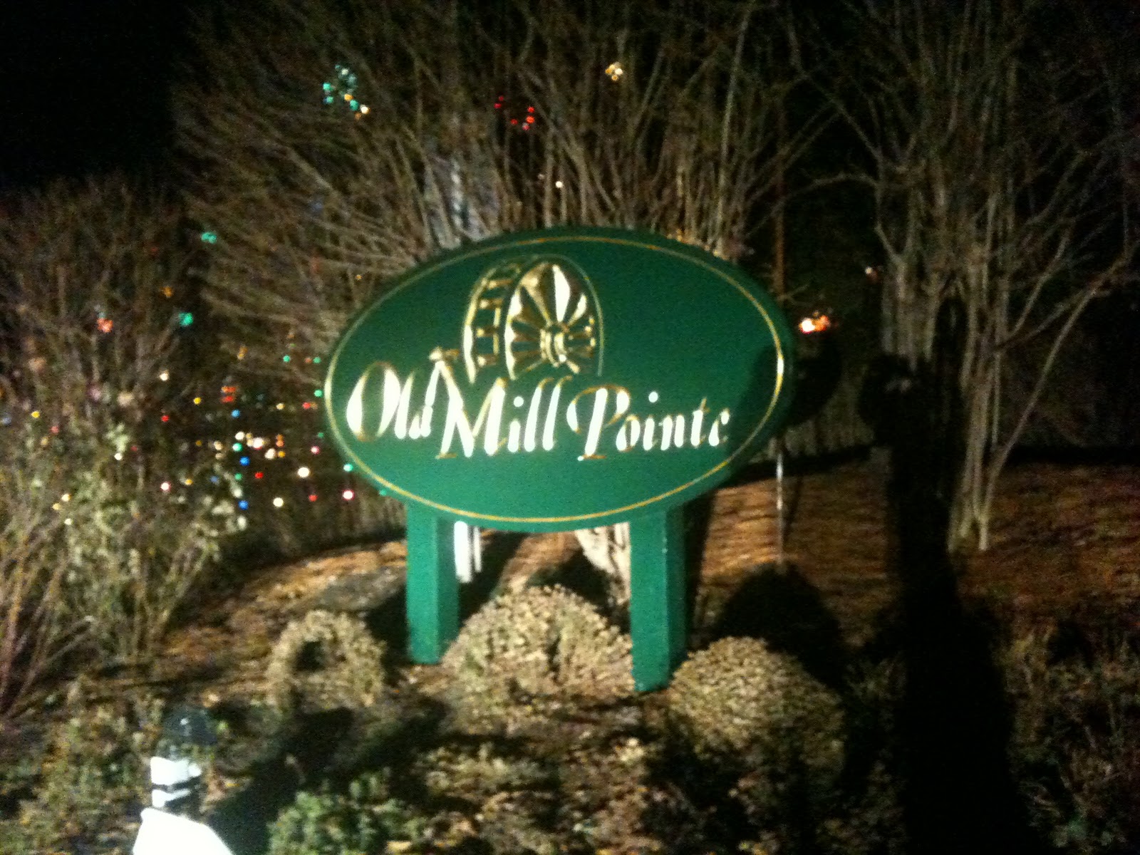Blog by Branka Holiday Lights in Media PA Old Mill Pointe