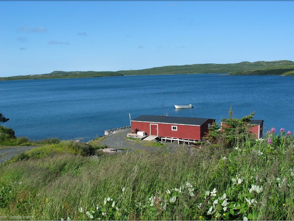 Caleb's Geography Blog New Found Paradise Newfoundland