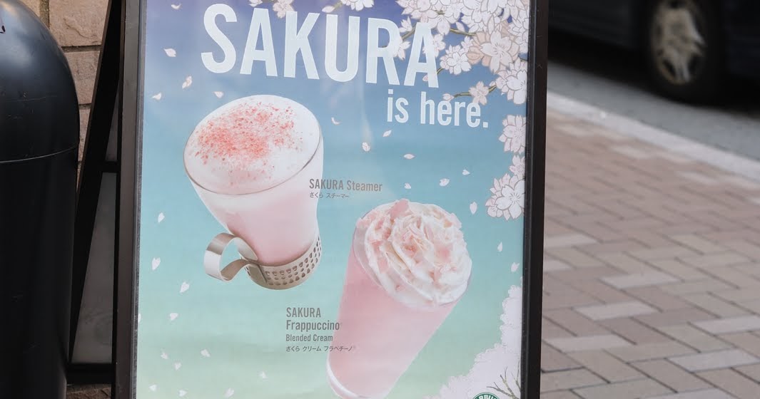 starbucks card sakura