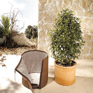 invelire ghivece exterior invelire ghivece exterior in perioada de iarna , ger , protejare plante iarna