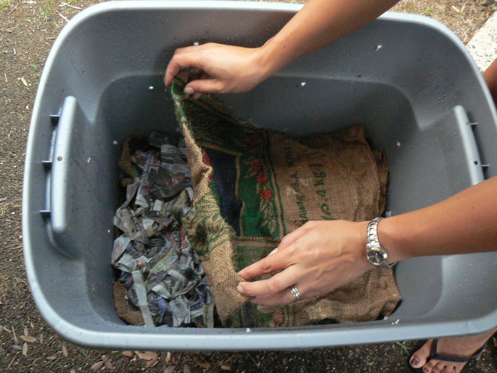 cultivating domesticity: worm composting! Biology Diagrams
