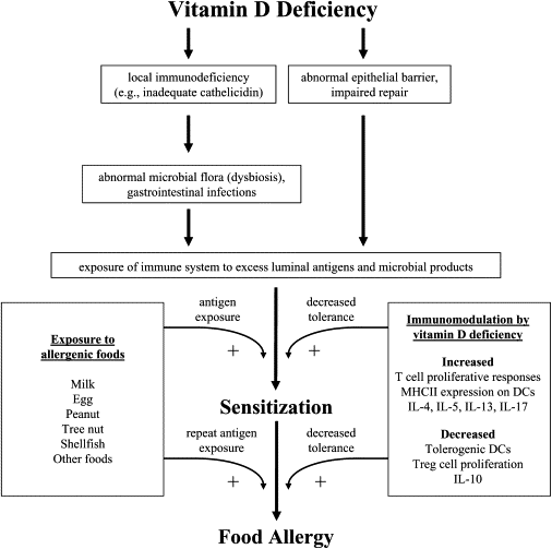 Vitamin D Defiency Linked to Allergies