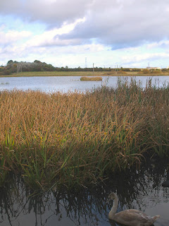 The Rising Sun country park The Rising Sun country park