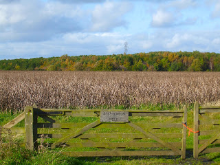 The Rising Sun country park The Rising Sun country park