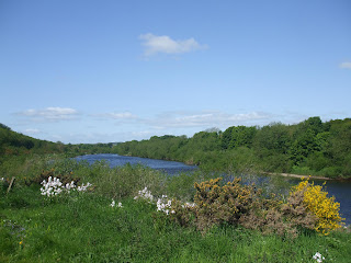 Tyne Riverside Country Park Tyne Riverside Country Park