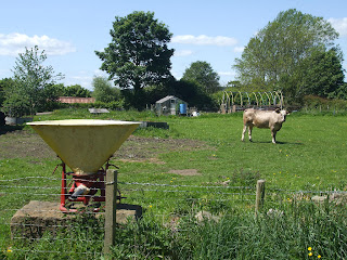 Ovingham Ovingham
