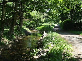 The Whittle Dean Stream The Whittle Dean Stream