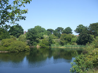 Marden Quarry Marden Quarry