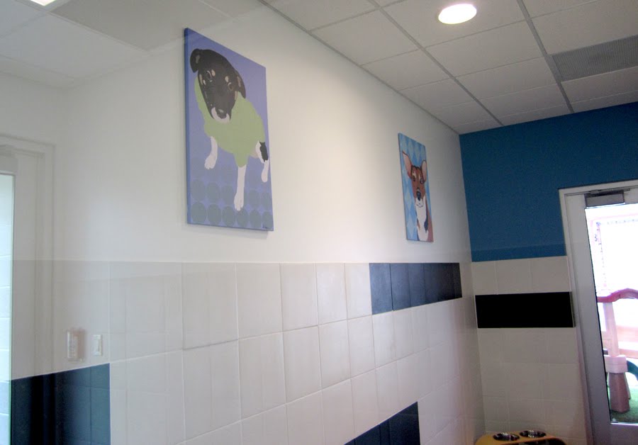 Ali's Paw Prints Best Friends Pet Care at Walt Disney World