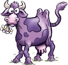 the fabulous ru blog shake shack s purple cow