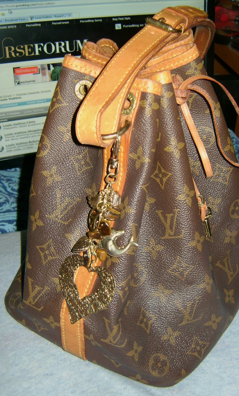 What Is The Classic Louis Vuitton Bag