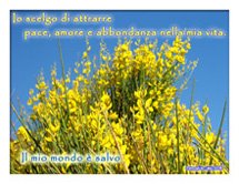 Benvenuti...\(^__^)/