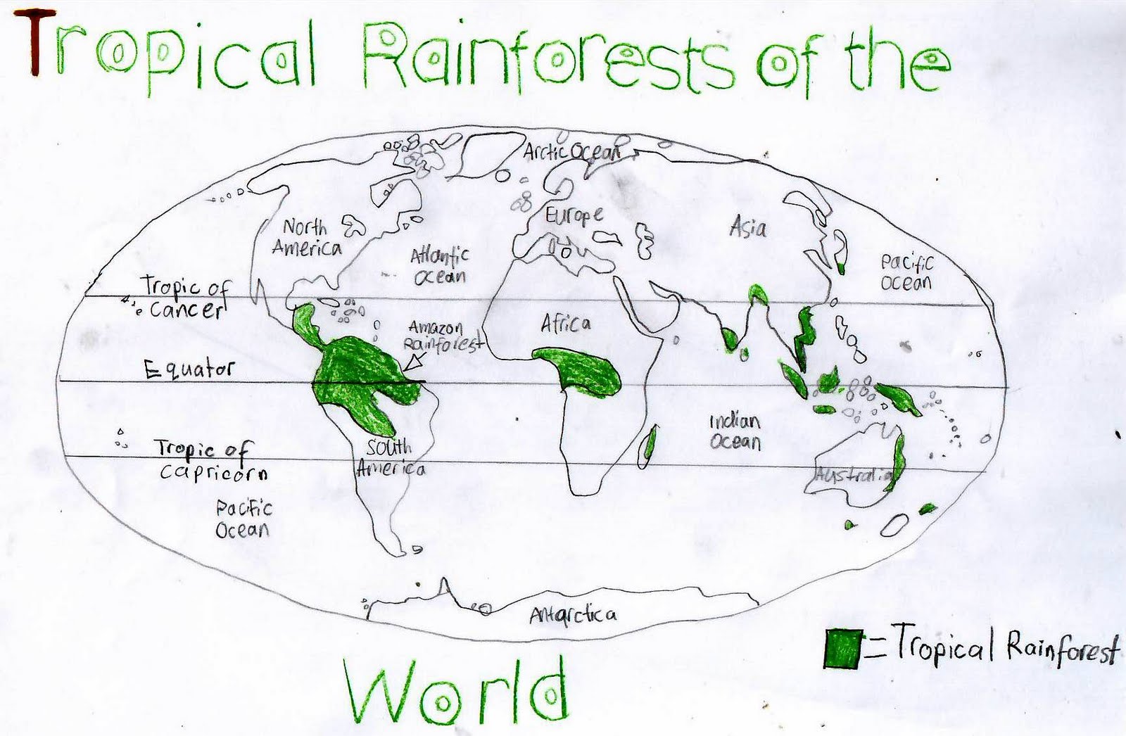 Map Of Rainforests Of The World Rainforest Map Rainfo - vrogue.co