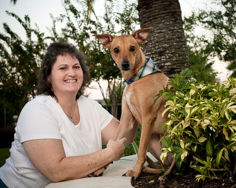 The Doglando Blog Orlando Dog Grooming Orlando Dog Training Dog