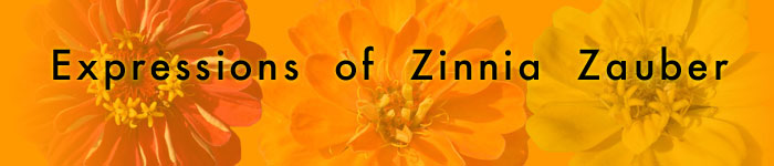Expressions of Zinnia Zauber