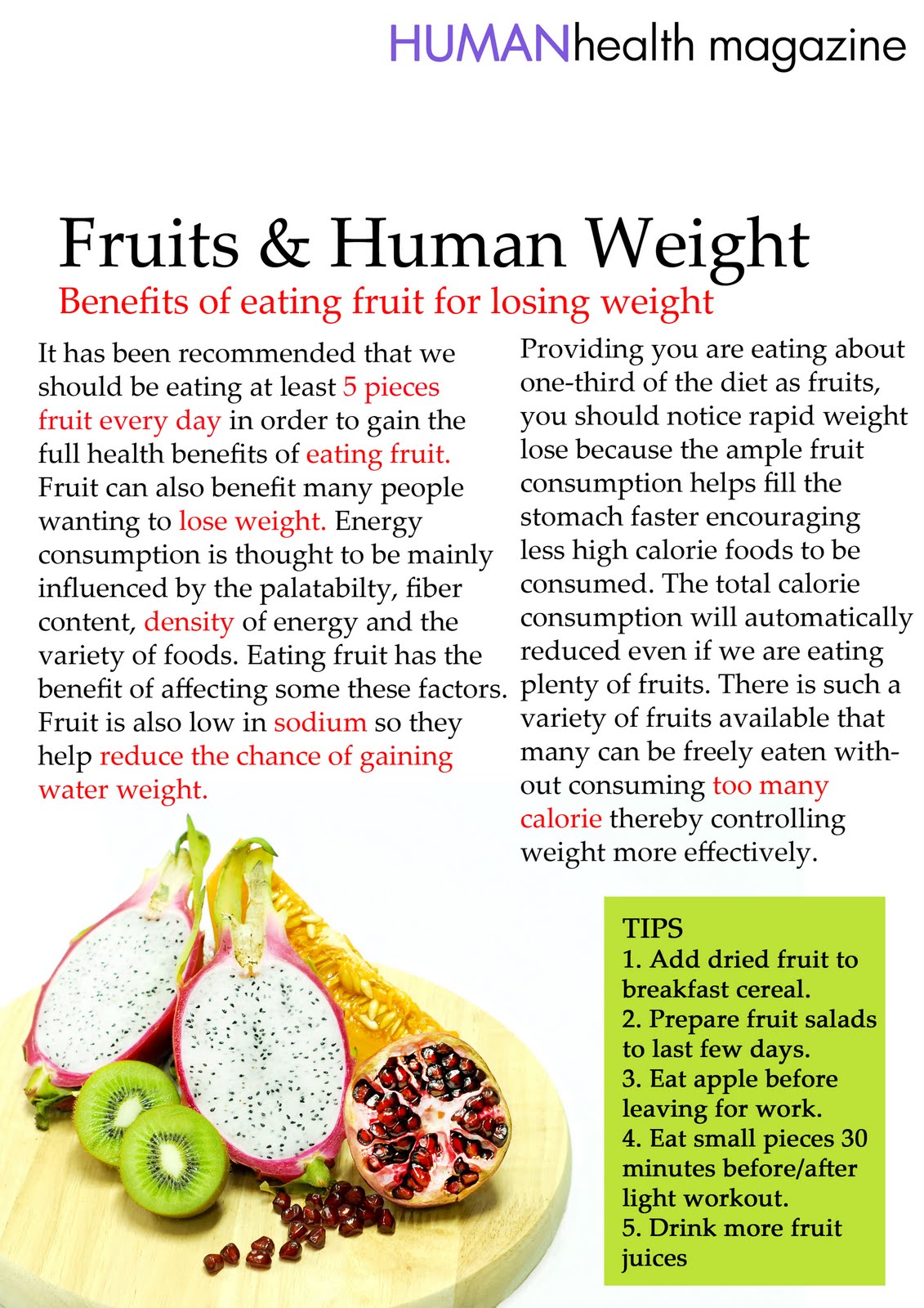 Food Articles, Beverage Articles - Food Reference Articles Section article of food