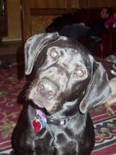 My Beautiful Andie