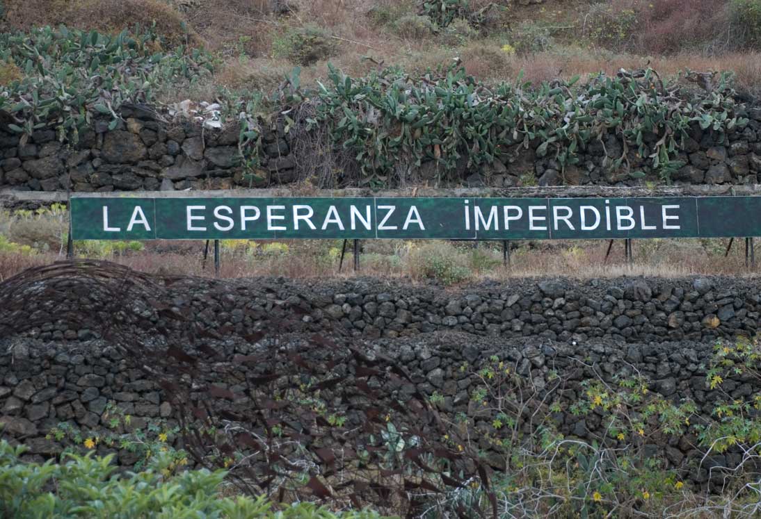 A N O N I M A N: La esperanza imperdible