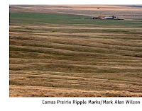 Fuente: http://www.glaciallakemissoula.org/virtualtour/camasprarie.html Megaondulaciones.