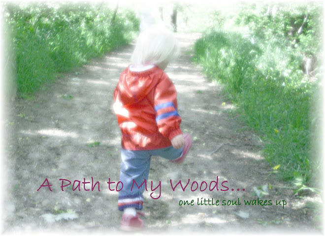 A Path to My Woods
