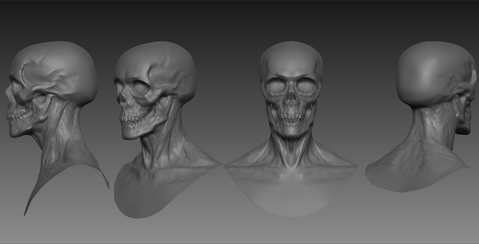 Khitan's Anatomy Blog: Anatomy: Skull