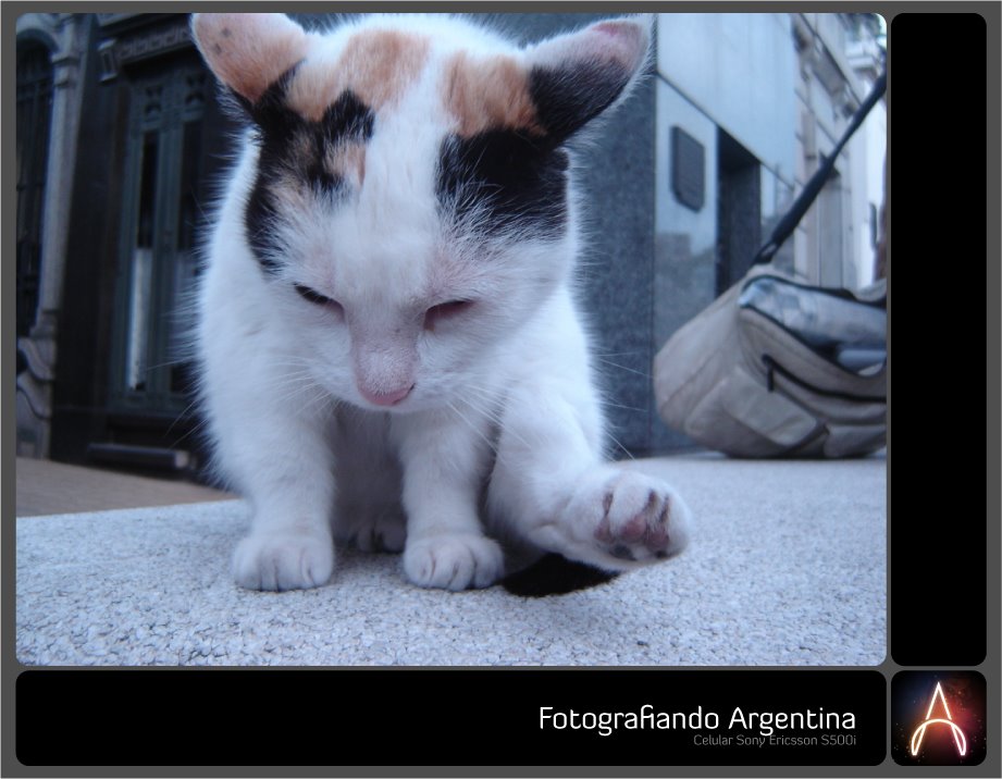 [argentina+fotos+blog5.jpg]