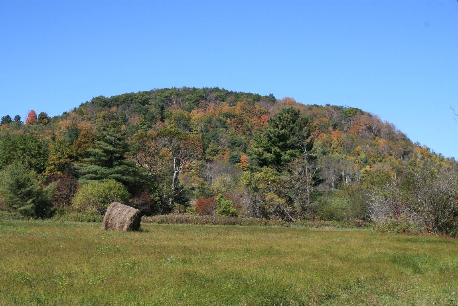 Looking Out from Central Massachusetts Tyingham in the Fall 10/9