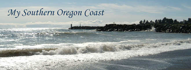 My Southern Oregon Coast