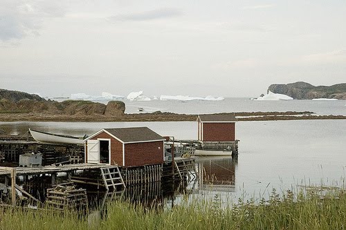 [3731341433_defb30b2c9.jpg]