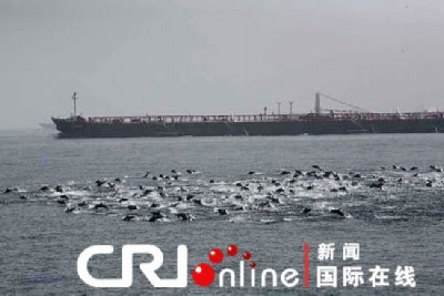 http://sofadasala-noticias.blogspot.com.br/2009/04/china-golfinhos-rechacam-ataque-pirata.html