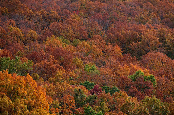 Fall 2008 Caroway Mountains