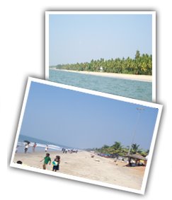 Hotels in cherai,cherai beach - Kerala - India