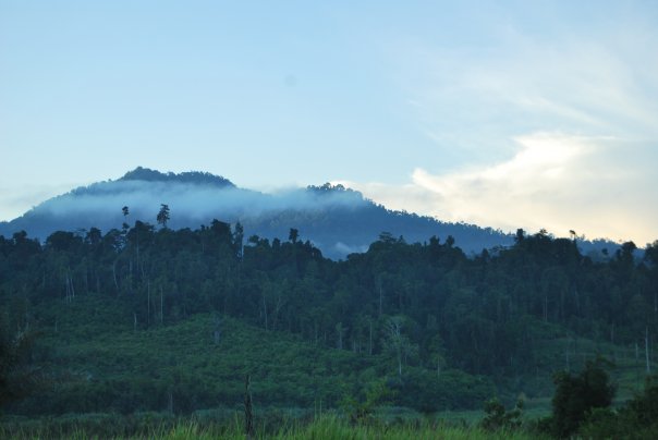 Kawasan Konservasi Pohuwato Gorontalo