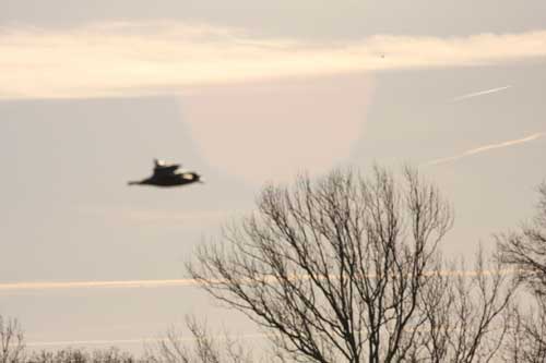 [wichita-ufo-2009.jpg]