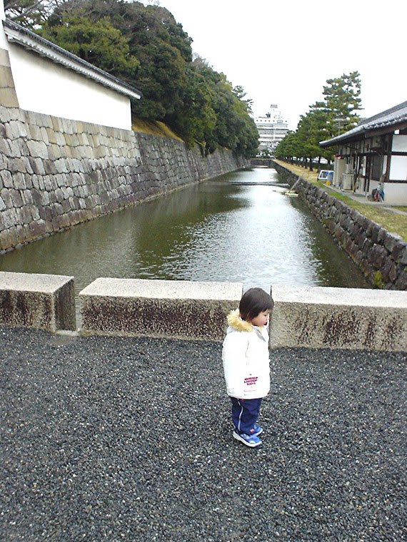 Castle in Kyoto