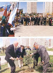 34 Arboles de Olivo por la Paz en Palestina, plantados en ciudades argentinas desde 1993