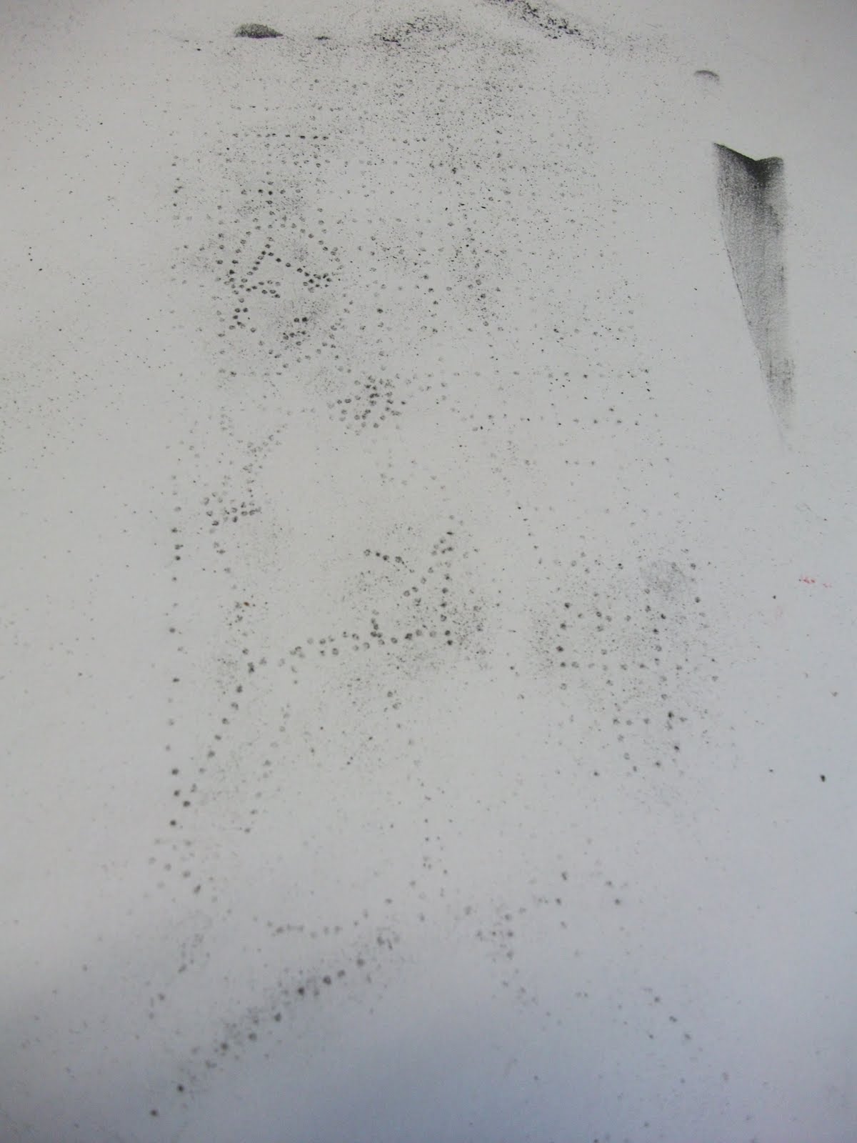 BethanyJayne: SECOND YEAR ELECTIVE-DRAWING PRACTICES