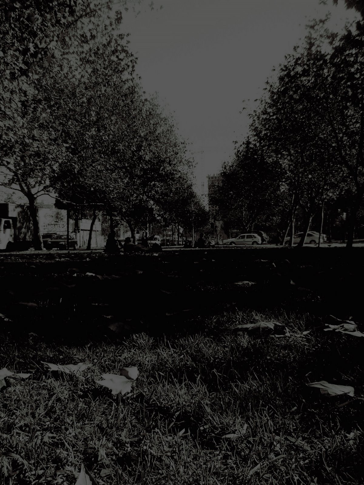 [DSC05606+copia.jpg]