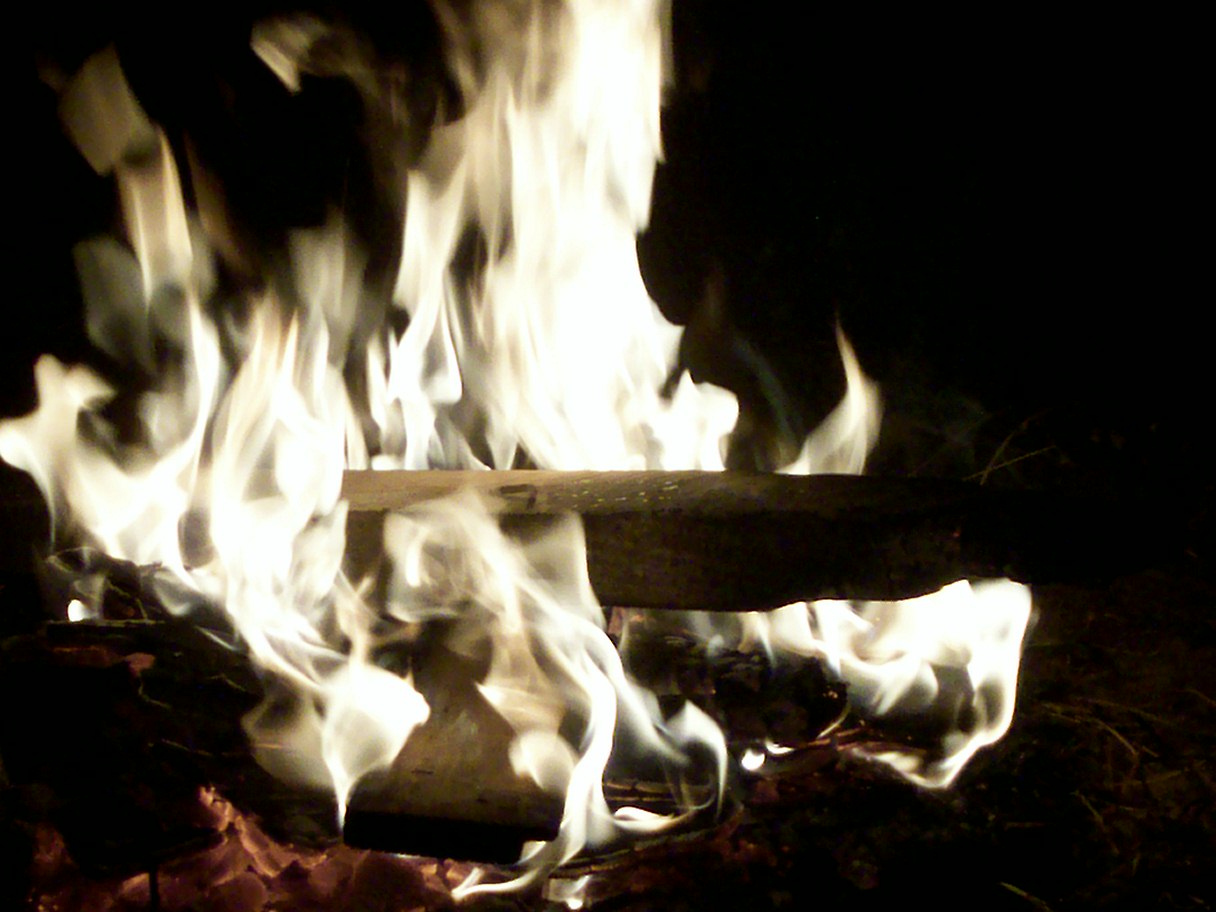 [Imagen1312+133.jpg]