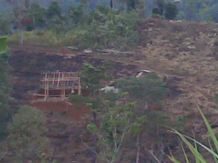 Penjarahan Hutan yang Dilakukan oleh Serikat Petani Pasundan (SPP)