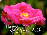new year roses pictures