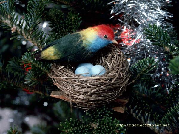 New Year Wallpapers: New Year Bird Wallpapers