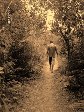 ...ando devagar pois já tive pressa...