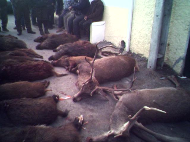 [29-12-07_1724.jpg]